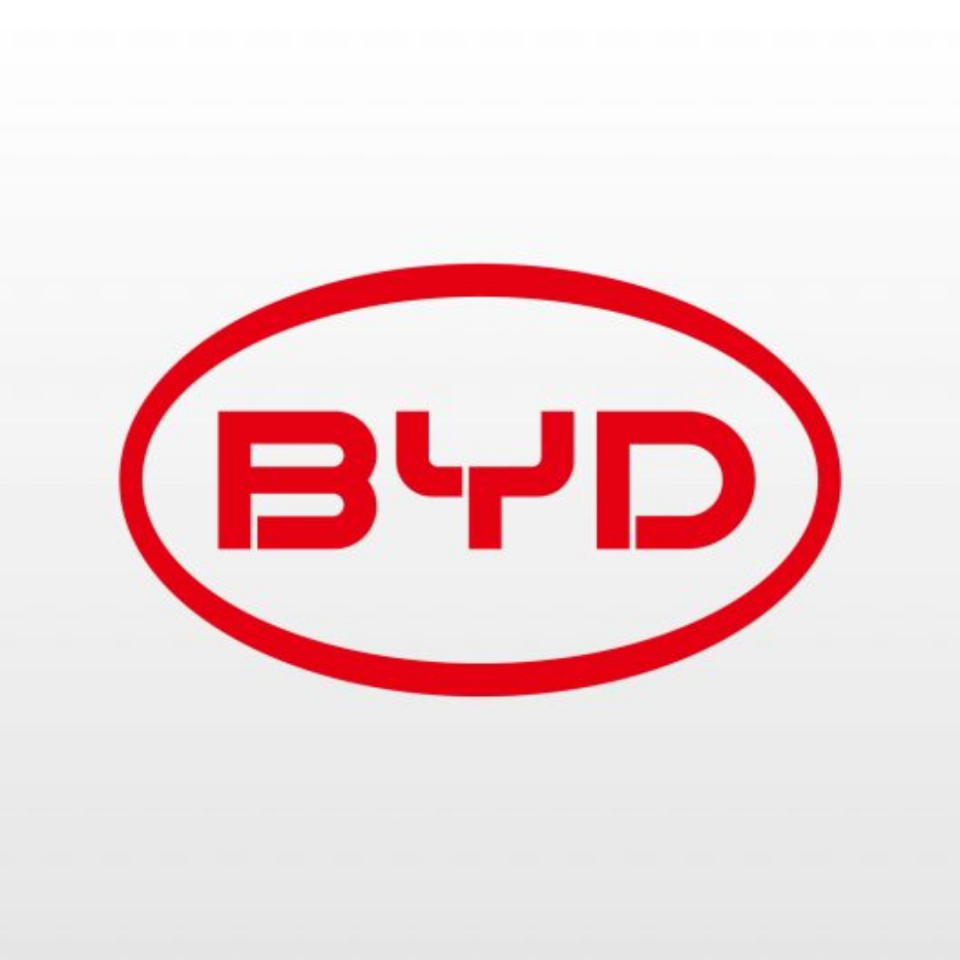 Funda BGK compatible con BYD